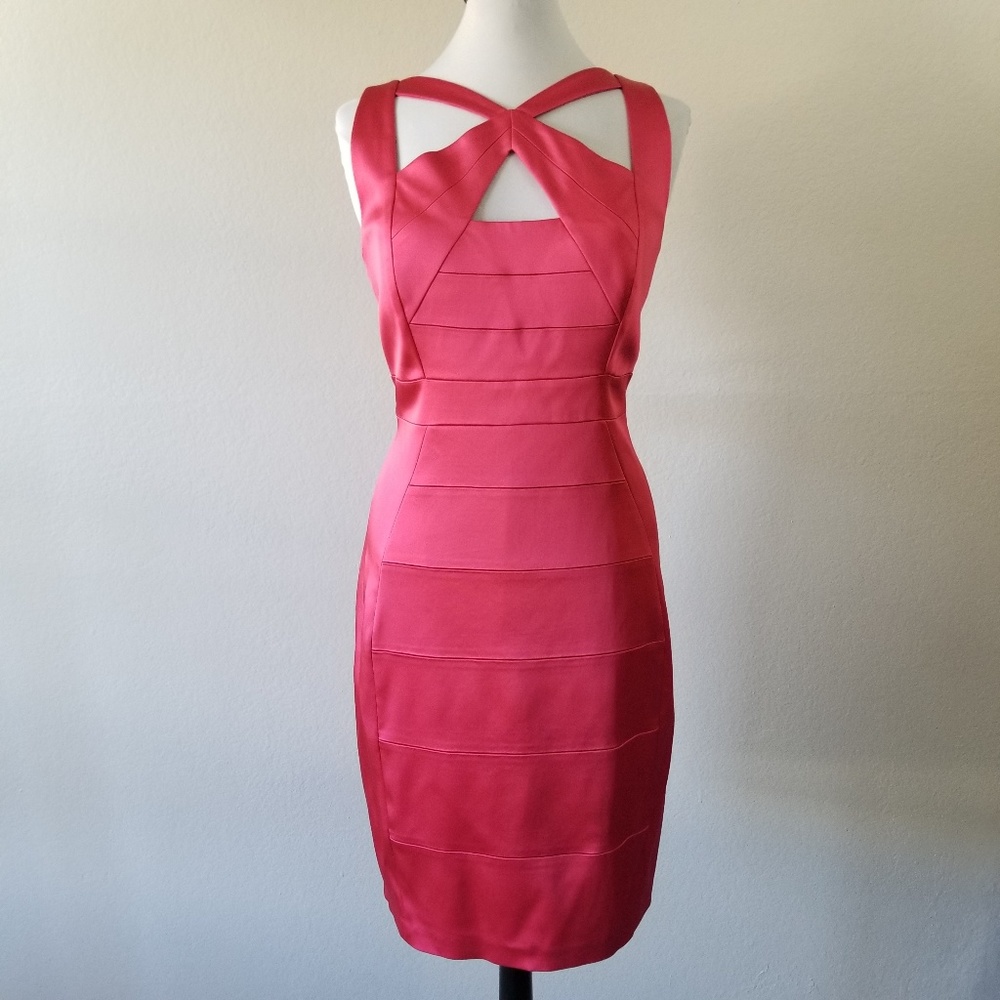 JAX Sheath Plumeria Dress 16 (NWT)